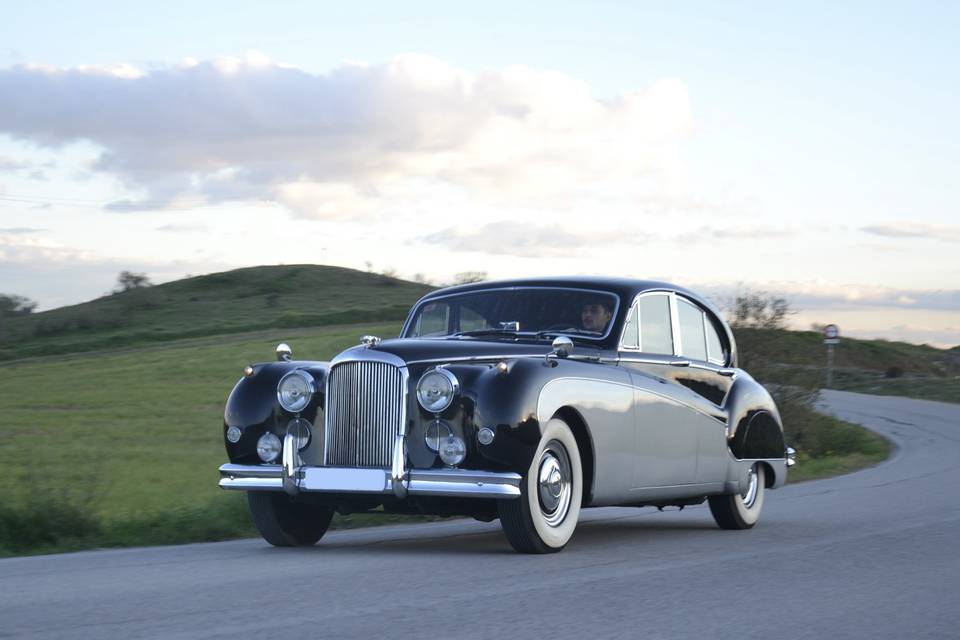 Jaguar MK8