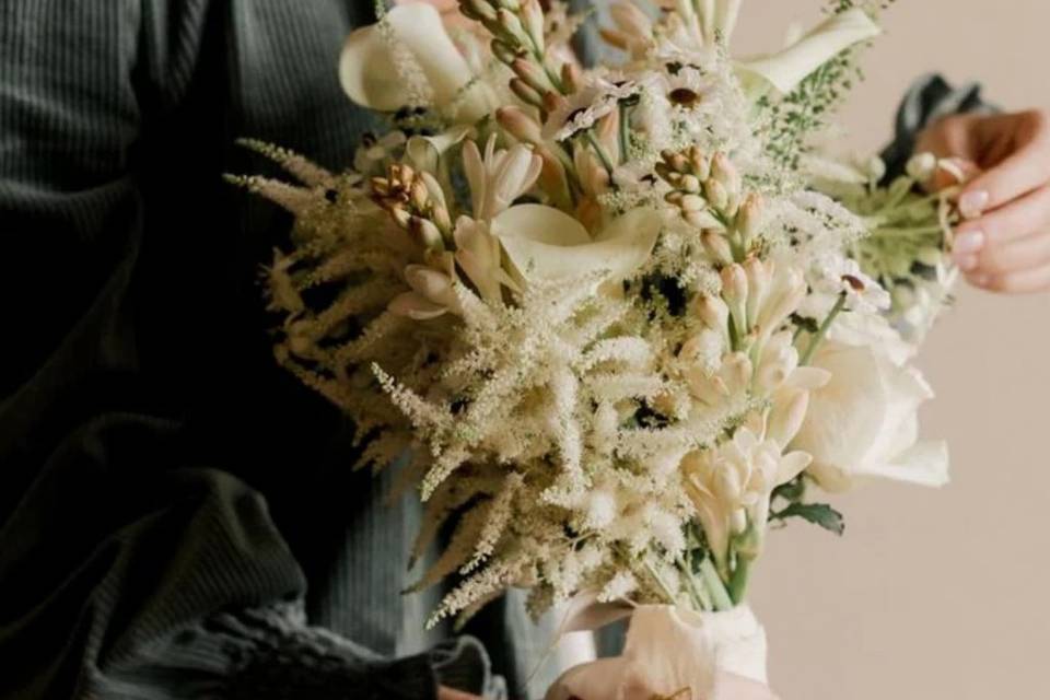 ✨