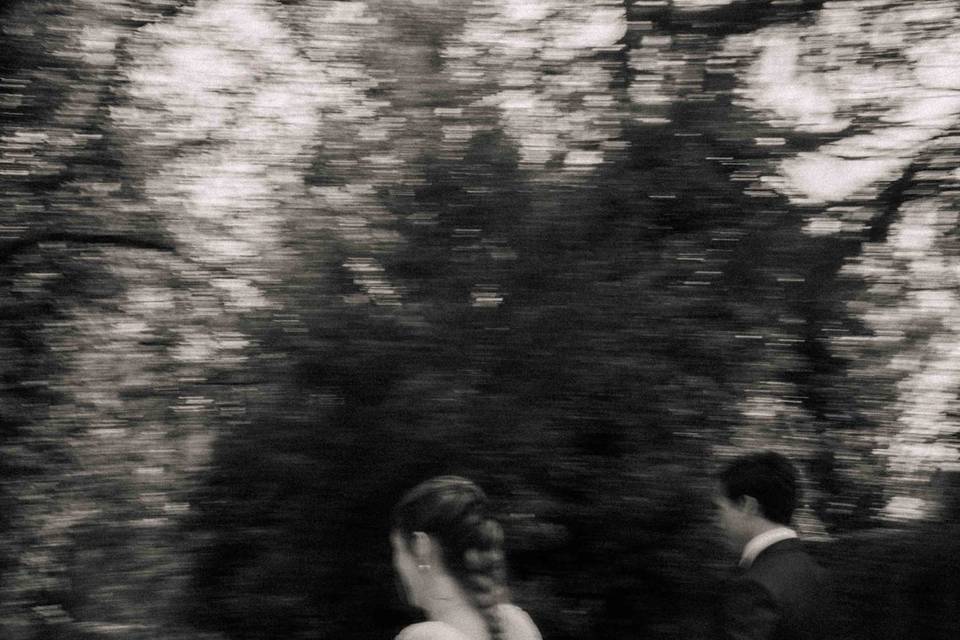 Imagen de muestra / portfolio