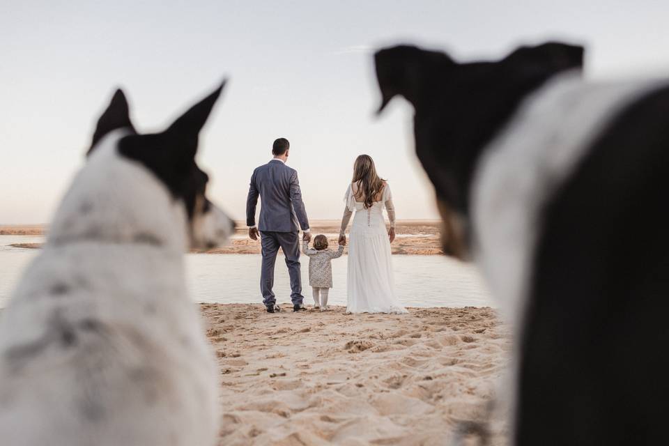 Bodas naturales