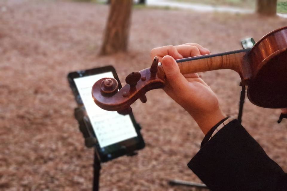 Violín para cóctel