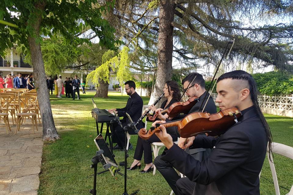 Violinista boda Cigarral Toled