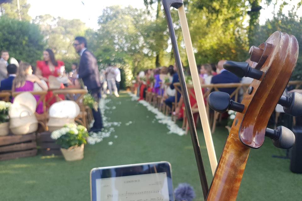 Violin Ceremonia Civil Toledo