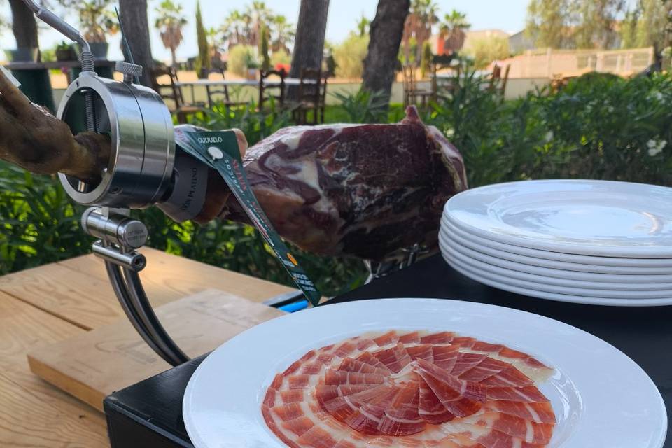 Plato presentación