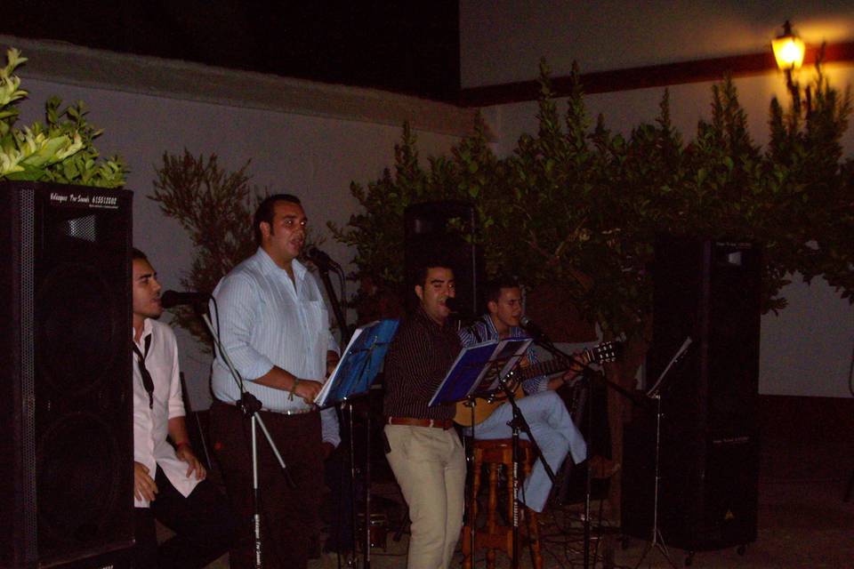 Boda en Palomares del Río