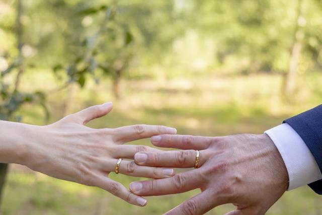 Unen sus anillos
