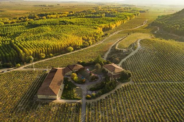 Bodegas Amezola