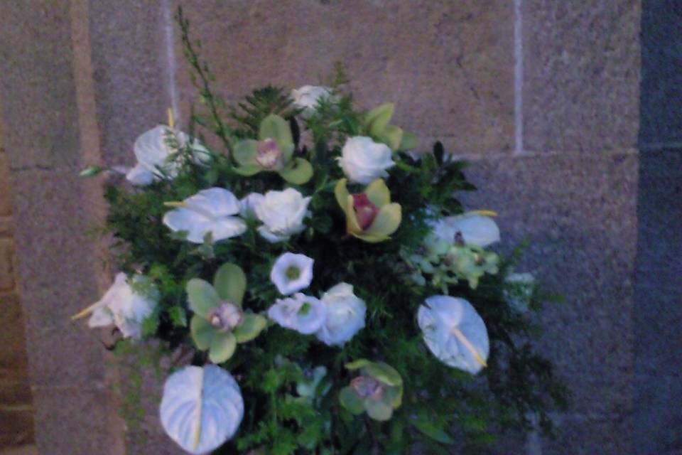 Floristería Zarcillos