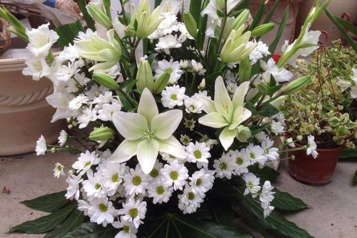 Floristería Las Gardenias