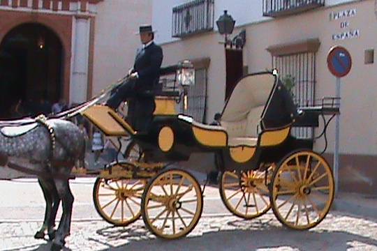 Coche de caballos brisca