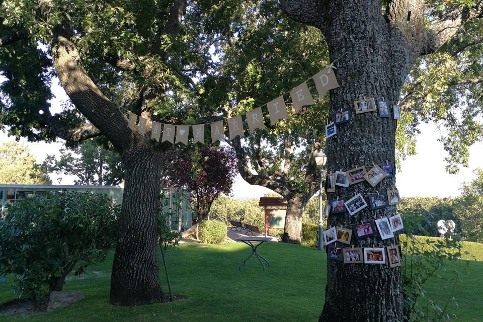 Árbol de los recuerdos