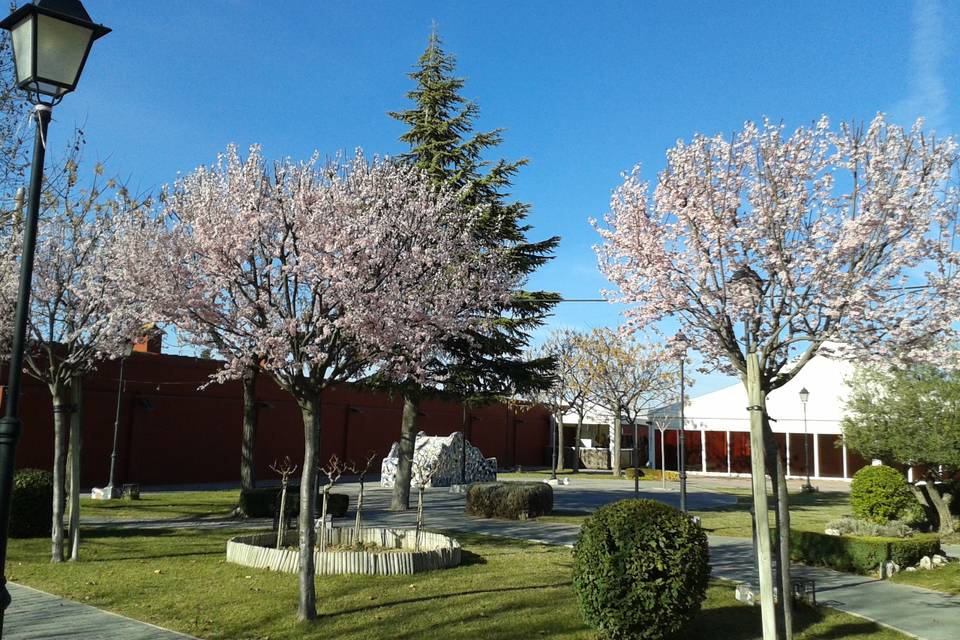 Bodas al aire libre