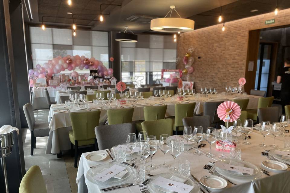 Salón chimenea