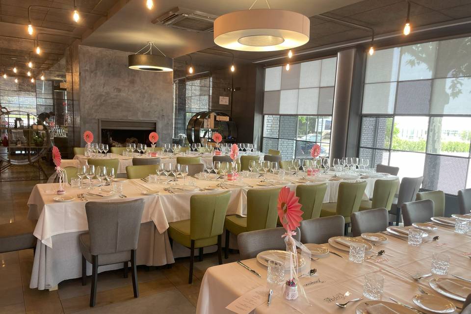 Salón chimenea
