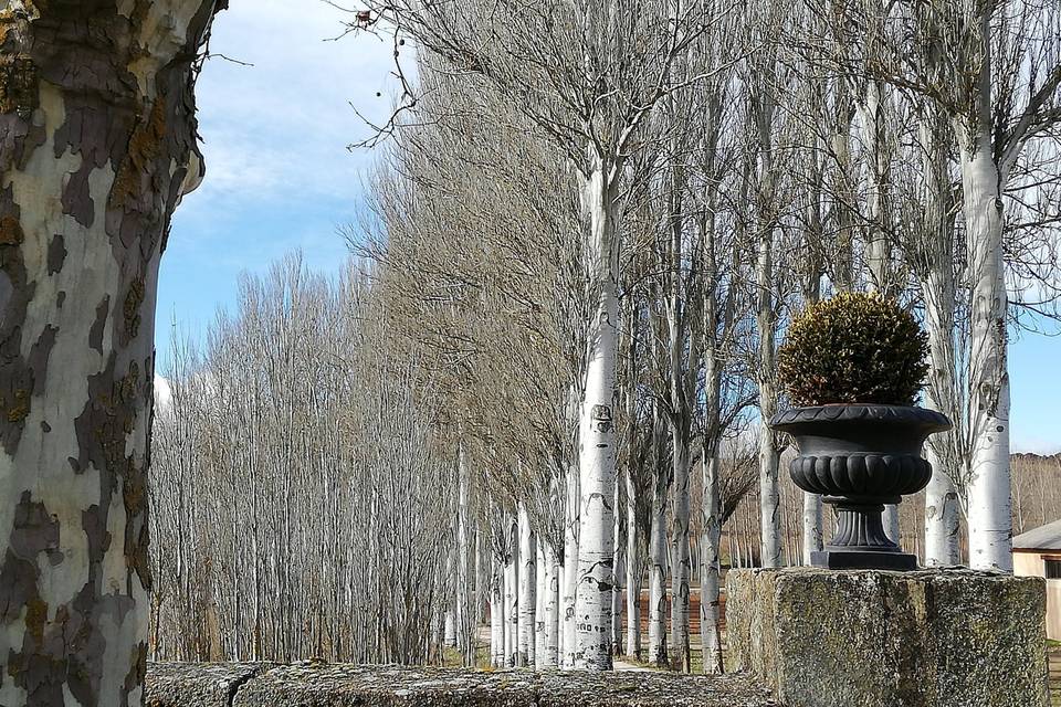 Entrada a la finca