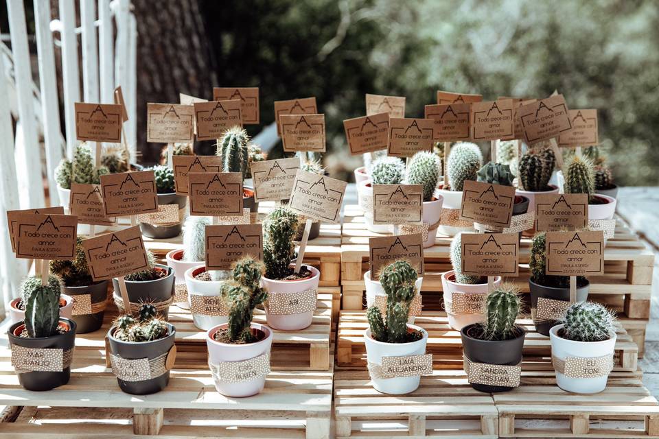 Topper personalizado cactus