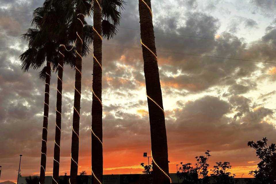 Atardecer-Jardin