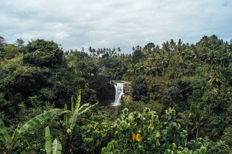 Cascadas, tour por Bali