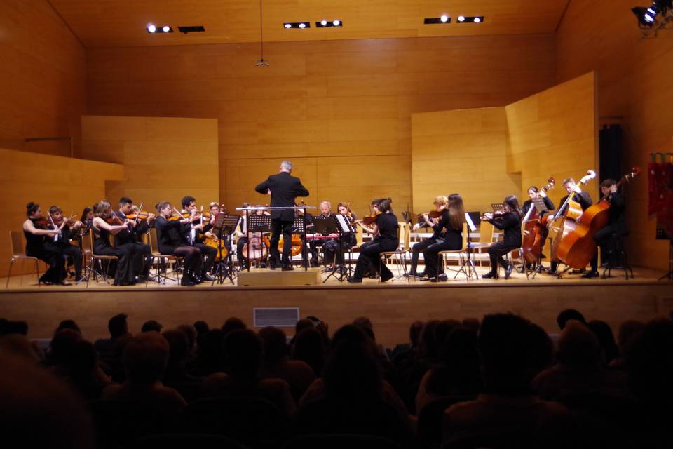 Concierto Orquesta Händel