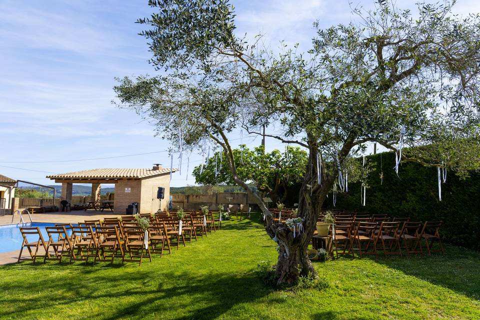 ARBOL_OLIVO_DECORADO_CINTAS_BLANCAS
