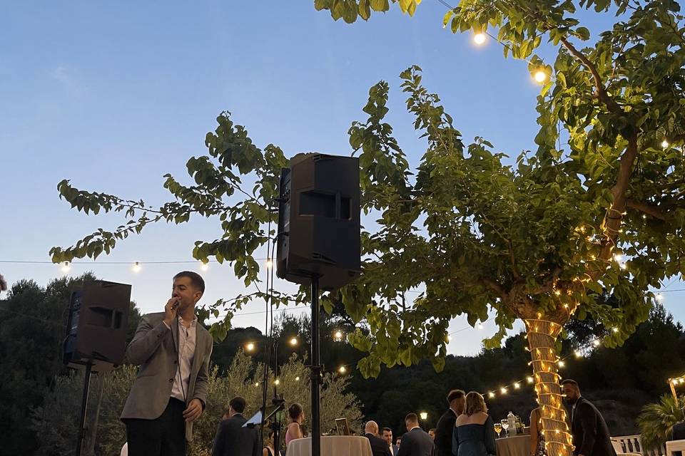 Boda en un cortijo.