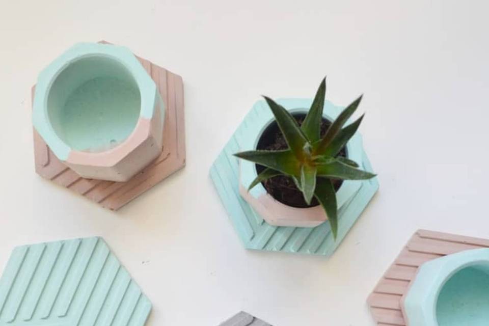 Tuerca con planta