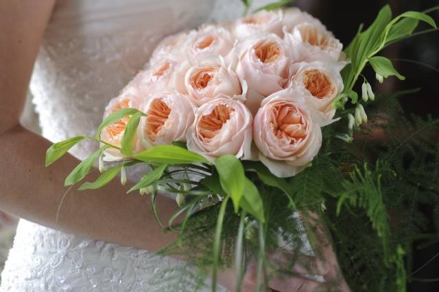 Rosas Inglesas