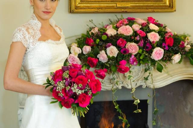 Rosas Kate