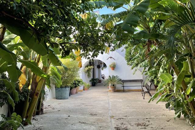 Finca Barón