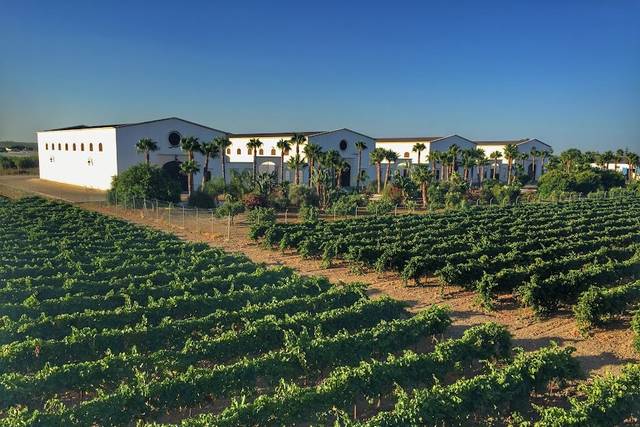 Rodeada por 7 ha de viñedo