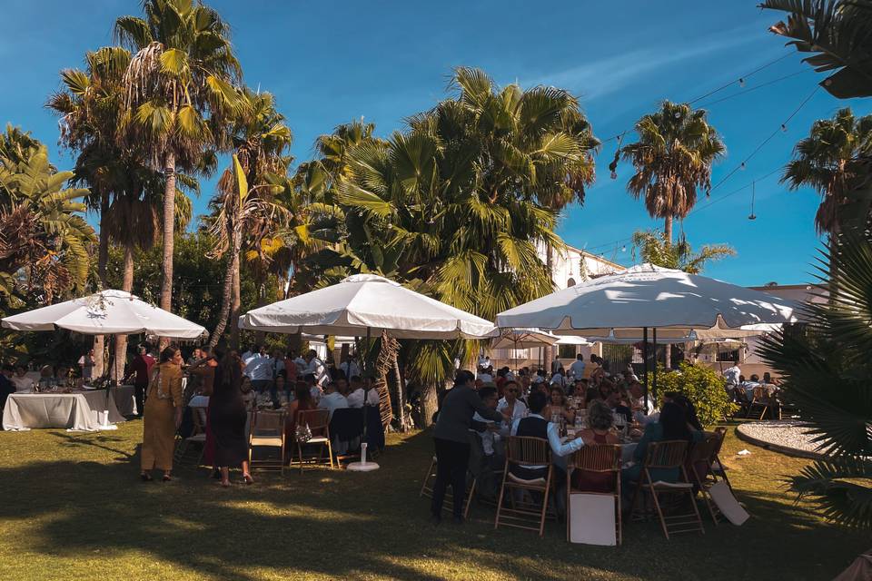 Banquete en jardín