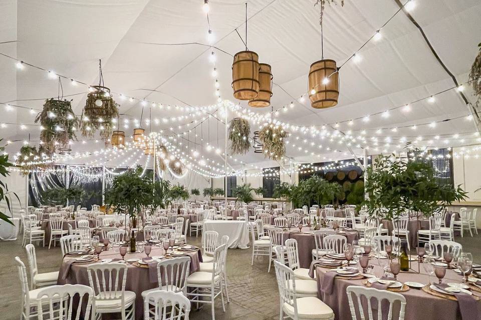 Boda de noche