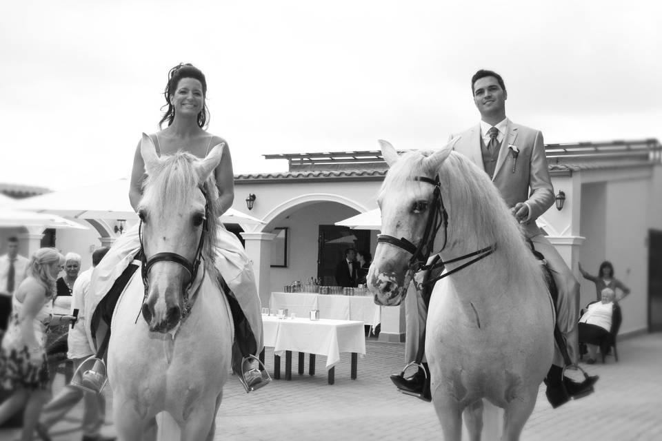 Novios con caballos