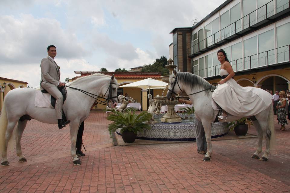 Novios con caballos