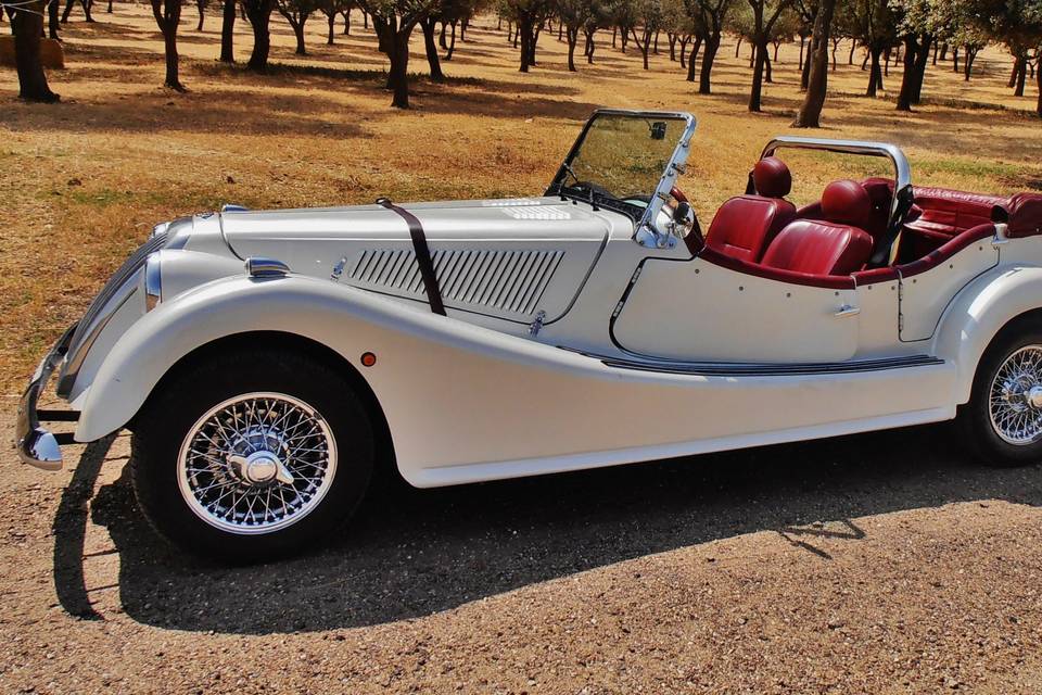 Coche de boda