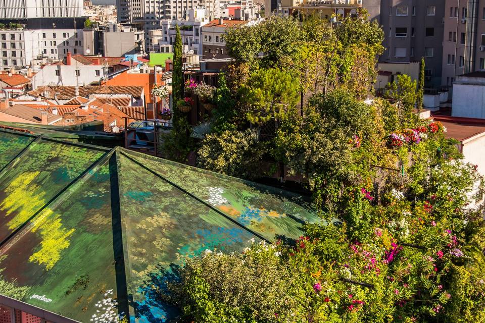 Jardín colgante desde la terraza