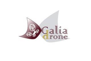 Dgaliadrone