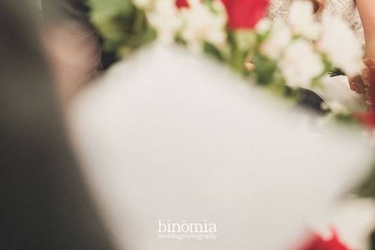 Binomia Photo