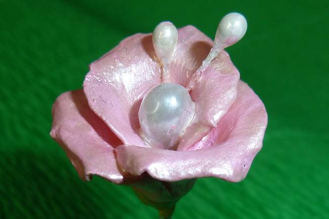 Rosa con florecillas secas
