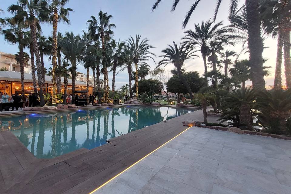 El Olivo
