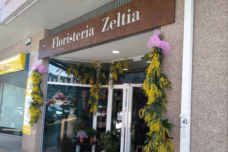 Floristería Zeltia