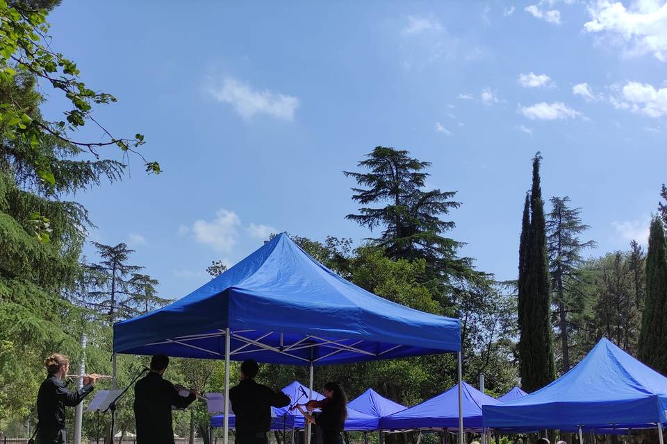 Concierto en la UPC