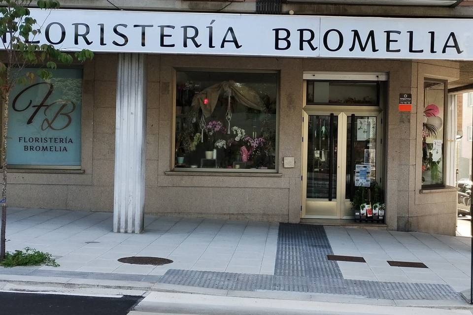 Floristería Bromelia
