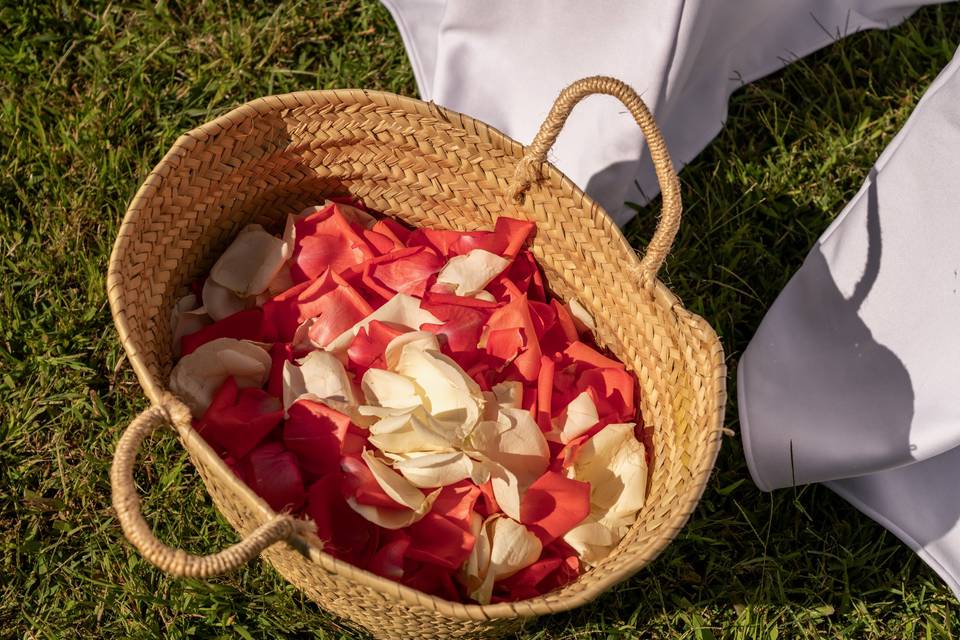 Detalles petalos