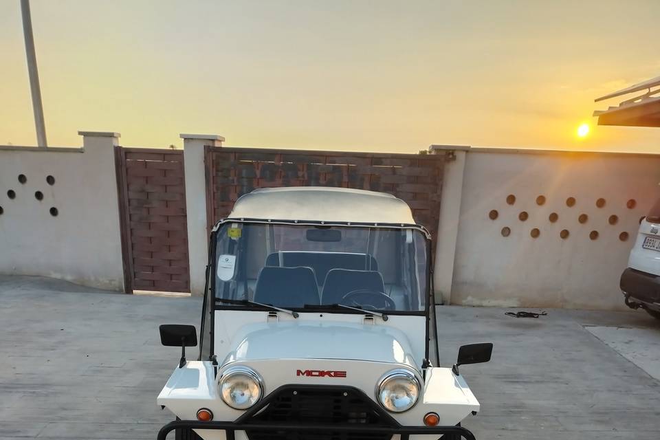 Mini moke 1987