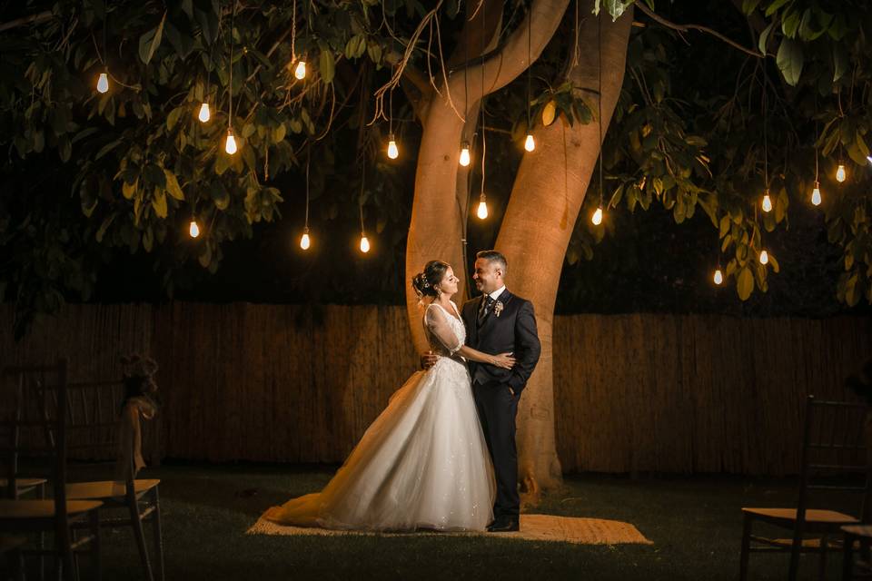 Novios en el árbol