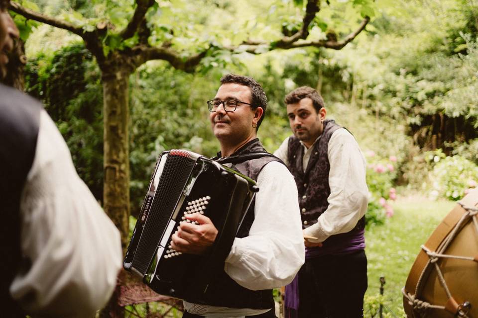 Músicos profesionales