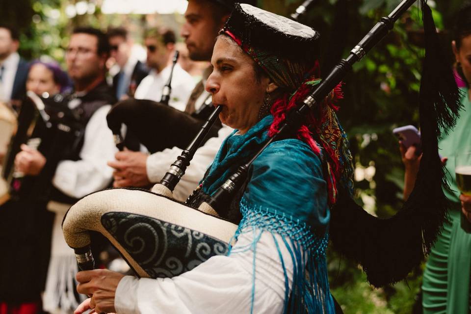 Músicos profesionales