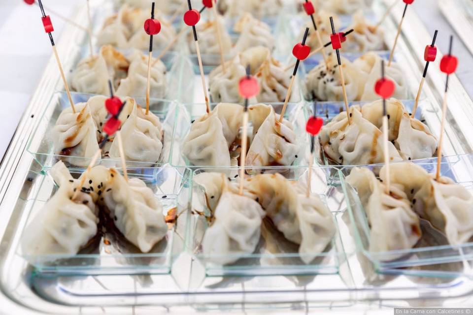 Gyozas japonesas