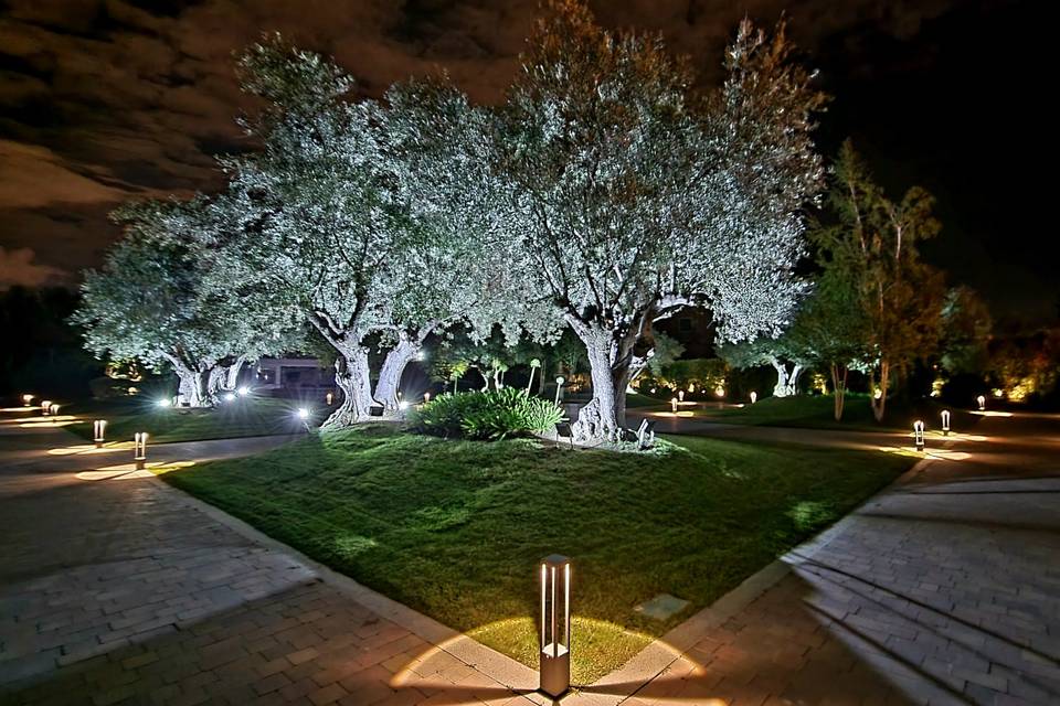 Jardines de noche